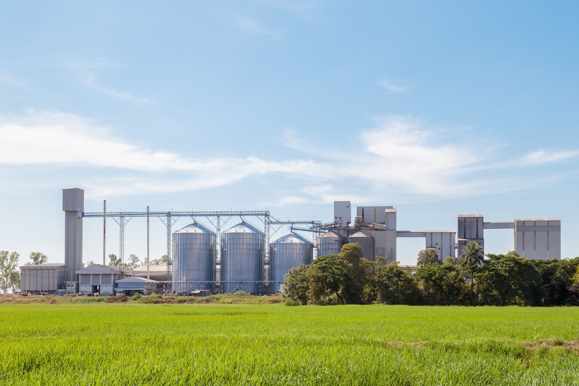 agriculture rice grain storage silos and food production factory on a green rice field with blue sky.